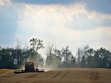 Harvesting